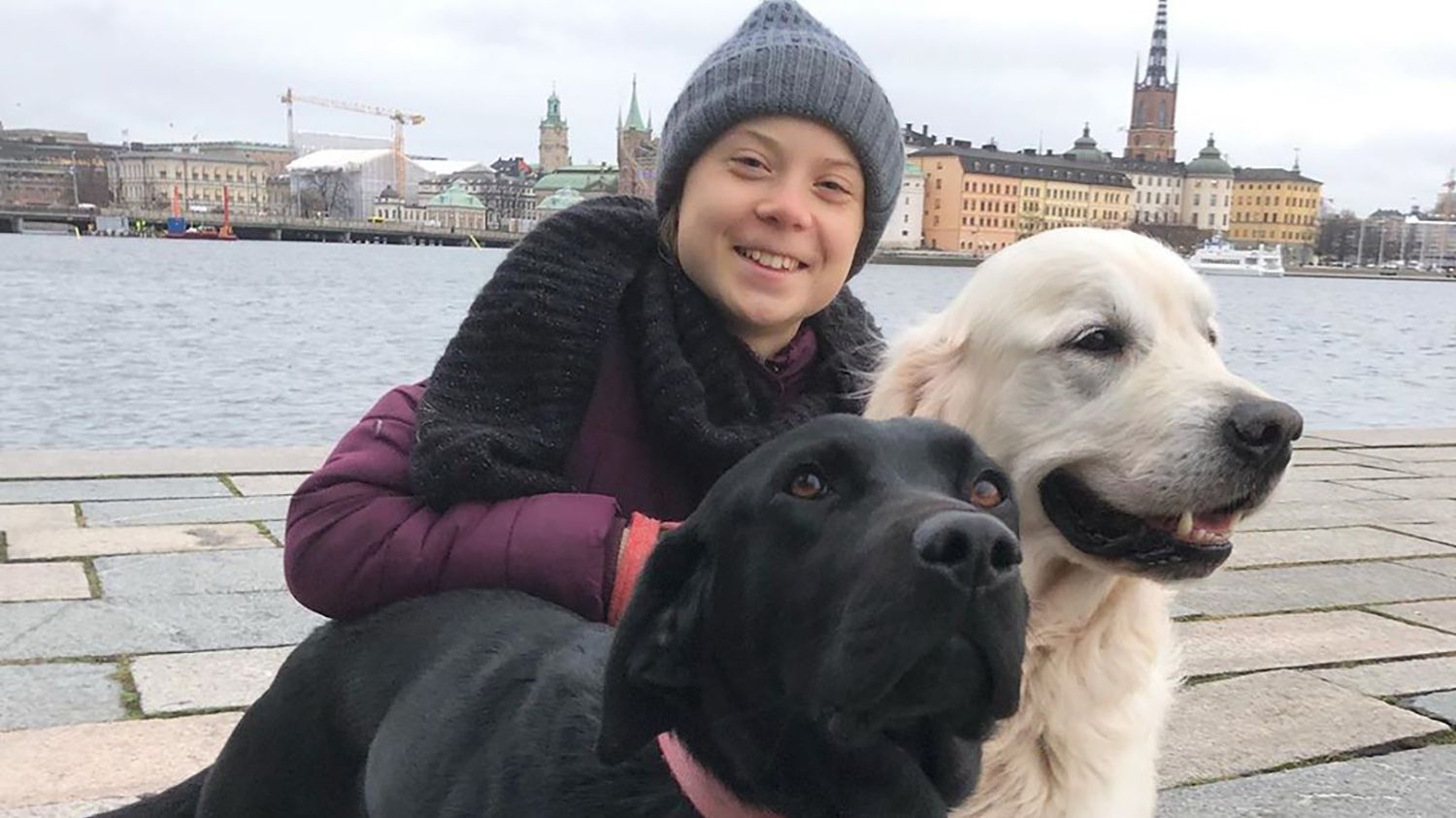 Грета Тунберг долучилась до челенджу - фото 1