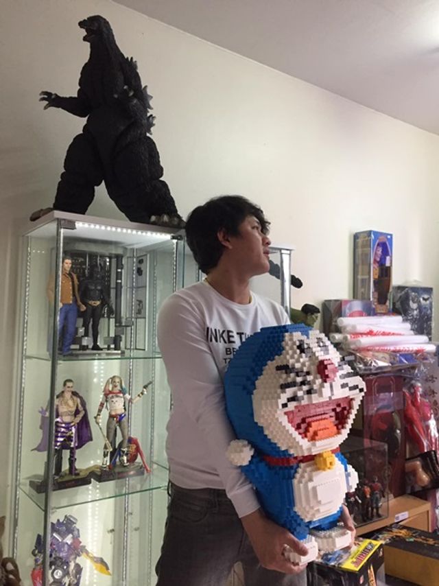 Кіт-бешкетник зламав фігуру з 2432 деталей конструктора - фото 377815