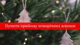 Де здати новорічну ялинку після свят: пункти прийому в Києві та Львові