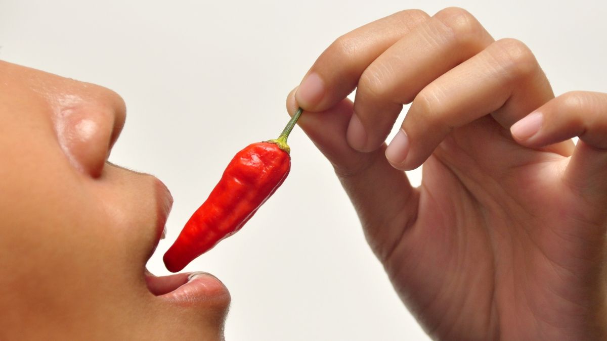 Вчені з'ясували, чи дійсно корисний перець чилі