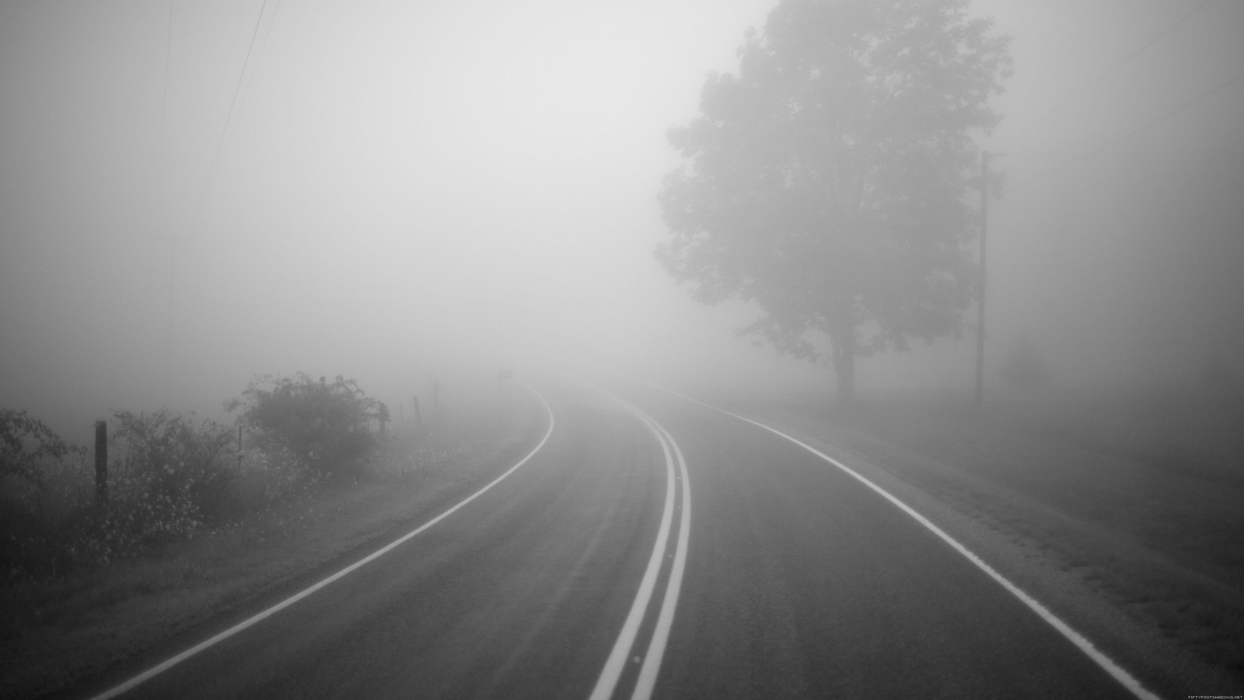 Українців попередили про туман та ожеледицю