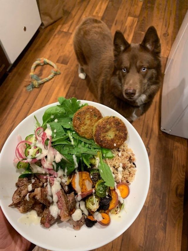 Голодні домашні улюбленці, які не дають спокійно поїсти: епічні фото - фото 378358