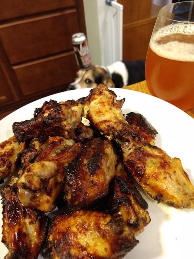 Голодні домашні улюбленці, які не дають спокійно поїсти: епічні фото - фото 378360