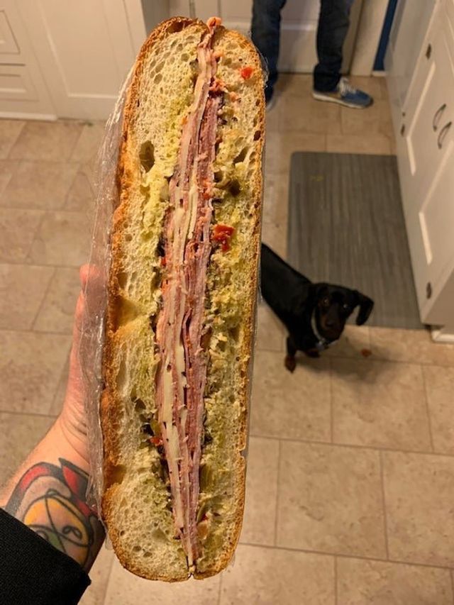 Голодні домашні улюбленці, які не дають спокійно поїсти: епічні фото - фото 378365