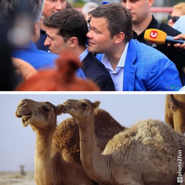 Зеленський в Омані: користувачі мережі висміяли поїздку президента в кумедних мемах - фото 378487