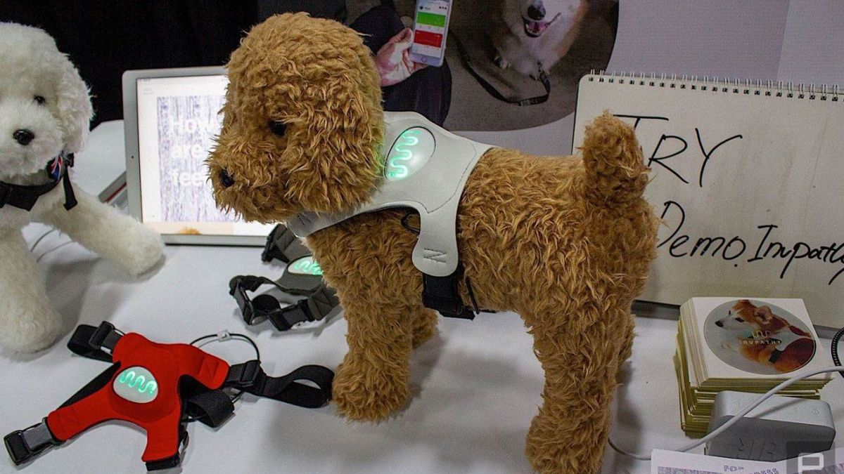 Японці створили "розумний" одяг для собак, який реагує на їхній настрій - фото 1