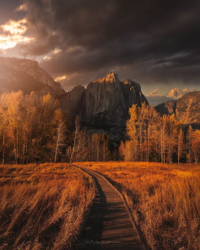 Подорож Каліфорнією у захопливих фото Руді Серрано - фото 378678