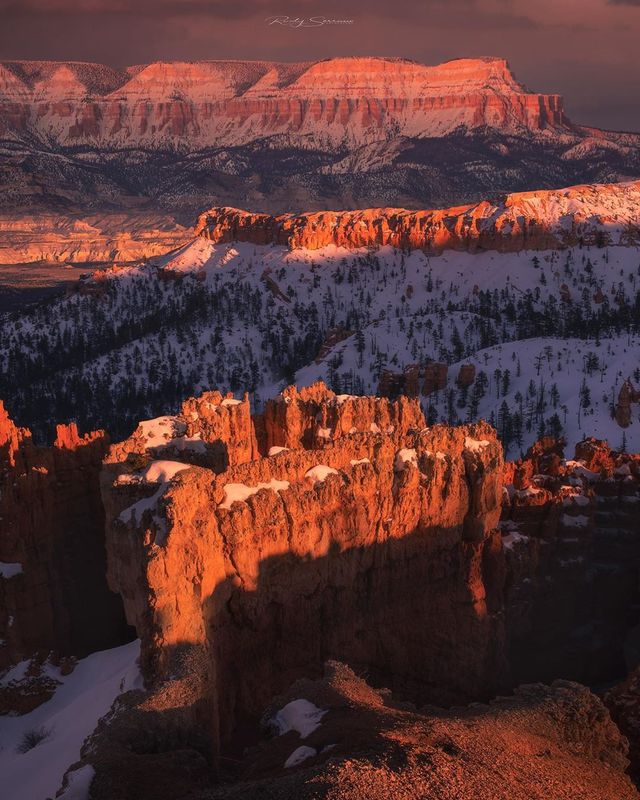 Подорож Каліфорнією у захопливих фото Руді Серрано - фото 378682