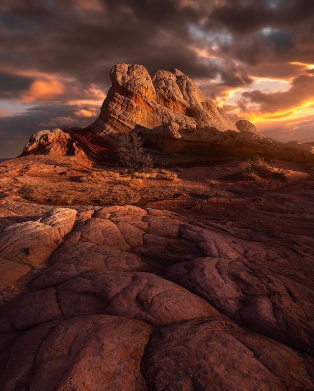 Подорож Каліфорнією у захопливих фото Руді Серрано - фото 378686