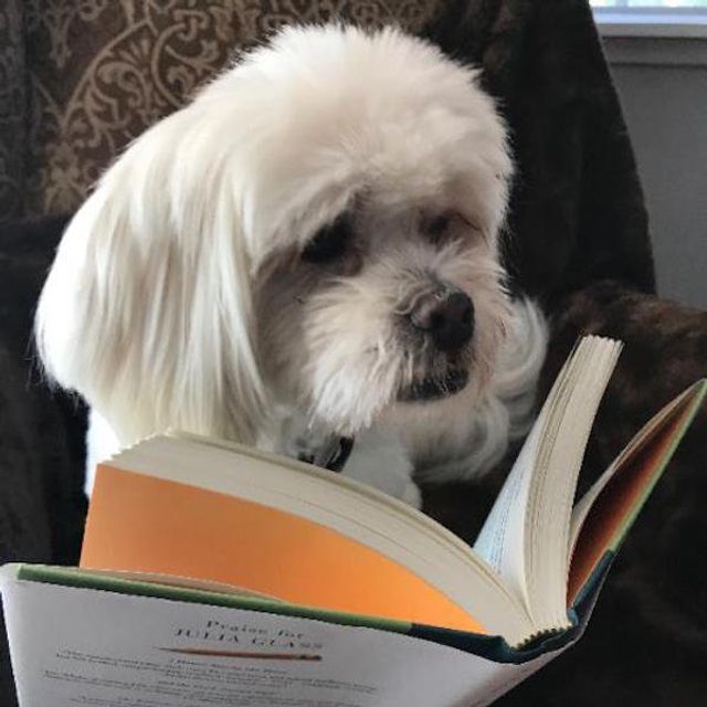 Cобаки, які обожнюють читати: епічні фото - фото 378843