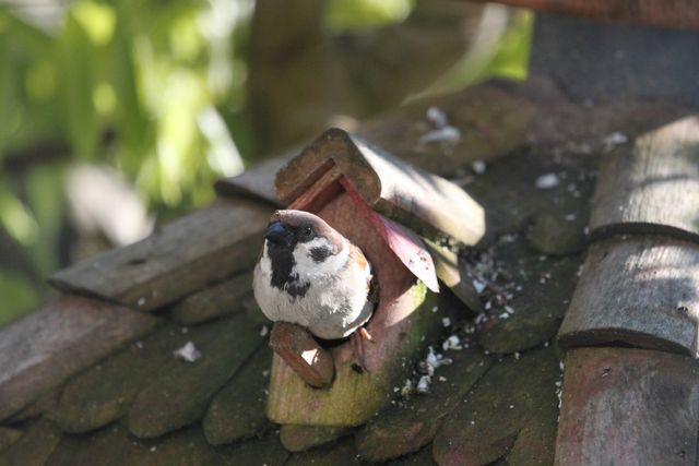 28 січня 2020 – яке сьогодні свято: традиції, заборони і прикмети - фото 378915