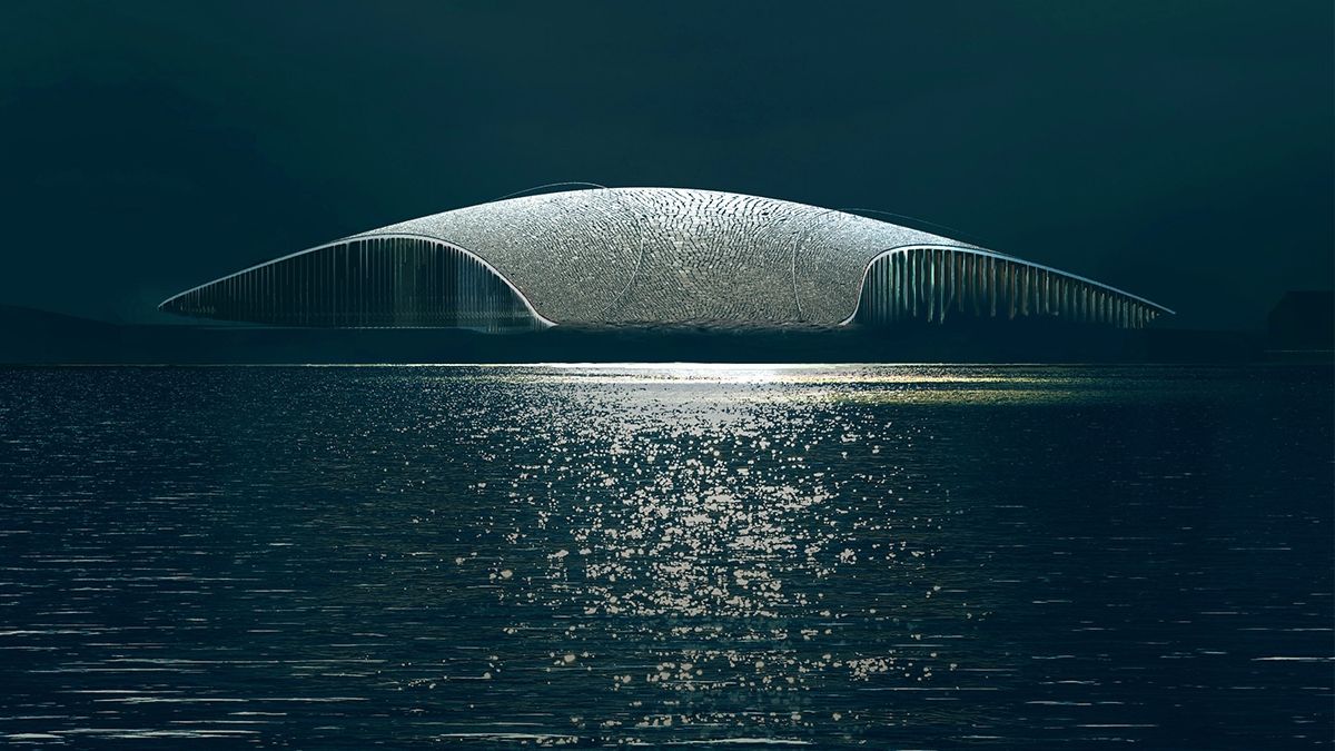 Як виглядатиме центр зі спостереження за китами: ефектна візуалізація проєкту