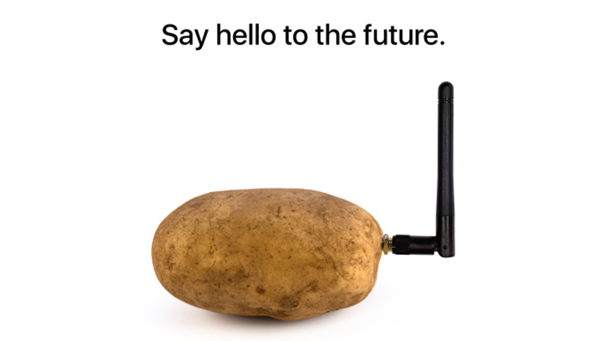 Альтернатива голосовим помічникам: представлений гаджет для "спілкування" з картоплею - фото 1