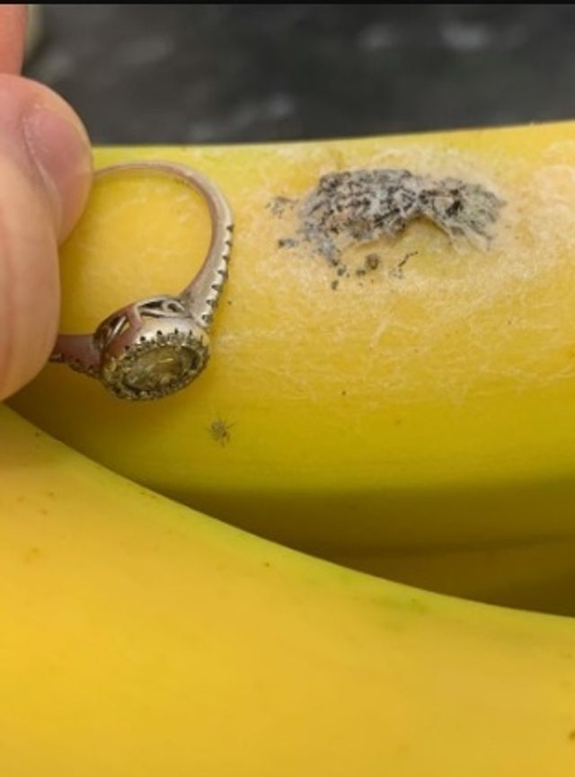 Британка купила банани із сотнею тропічних павуків: фото - фото 379469