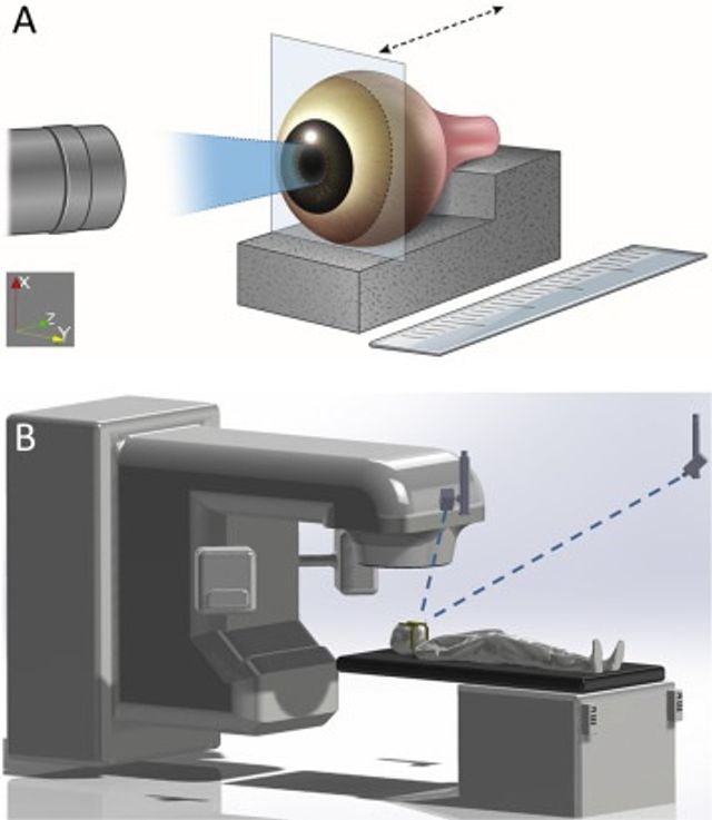 Чому світяться очі: феномен вперше зняли на фото - фото 379569