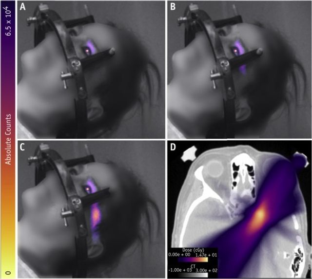 Чому світяться очі: феномен вперше зняли на фото - фото 379570