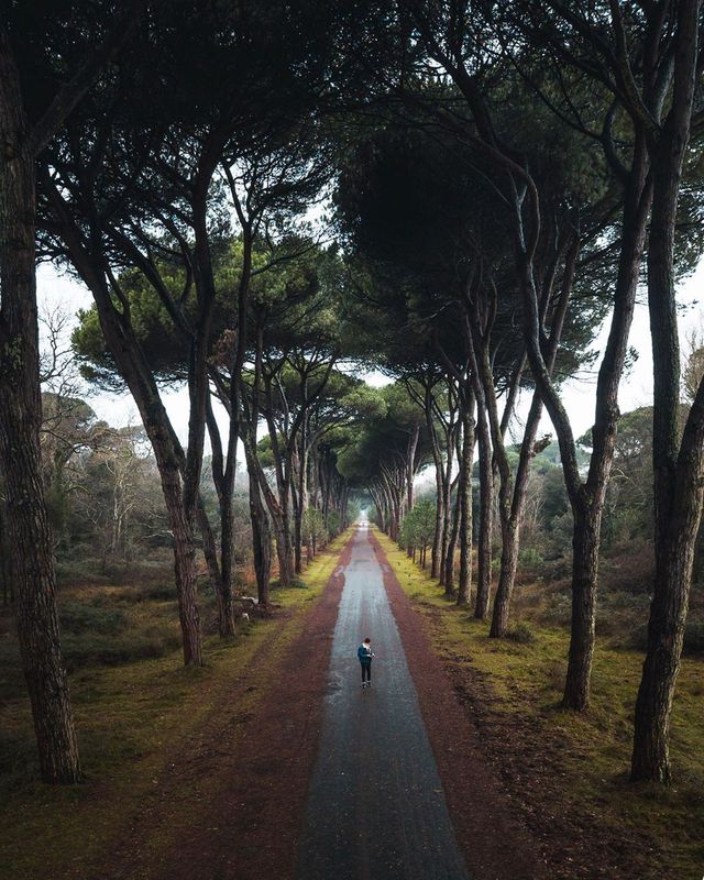 Ось чому варто мандрувати: яскраві фото німця - фото 379730