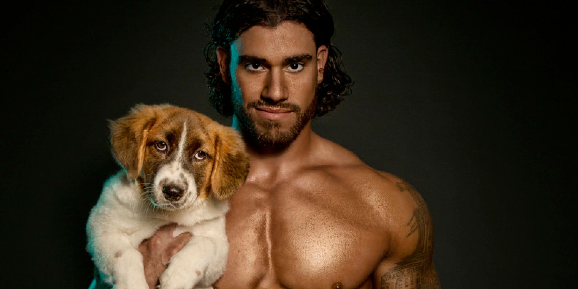 Гаджет дозволить визначити стан здоров'я улюбленця - фото 1