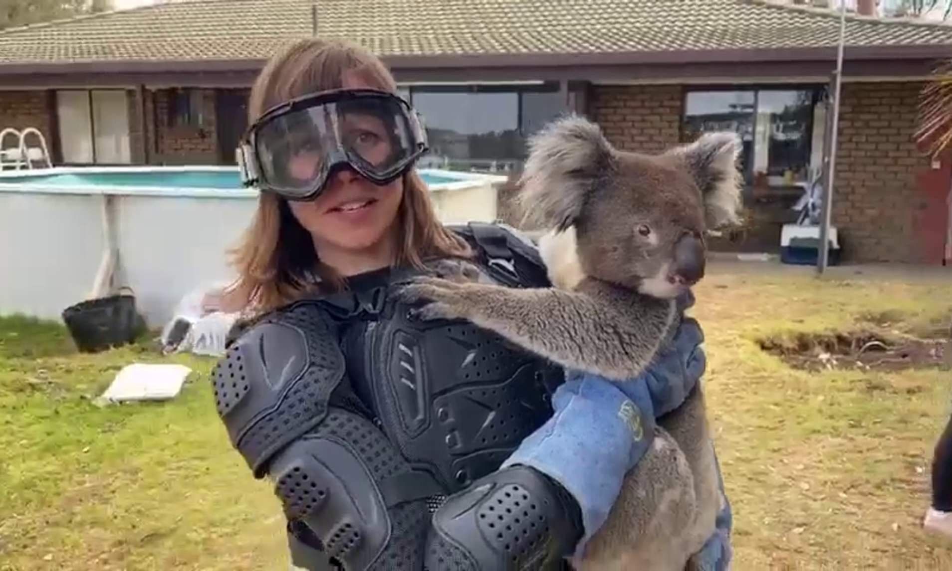 Журналістка у мотокостюмі стала зіркою мережі завдяки коалі: вірусне відео