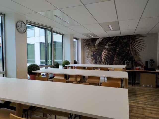 Наскільки добре знімає камера ASUS ROG Phone 2: вердикт DxOMark - фото 380443