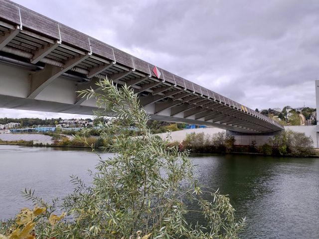 Наскільки добре знімає камера ASUS ROG Phone 2: вердикт DxOMark - фото 380447