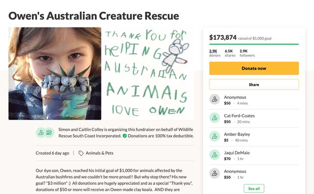 6-річний хлопчик зібрав 170 тисяч доларів на порятунок коал: як йому це вдалося - фото 380510