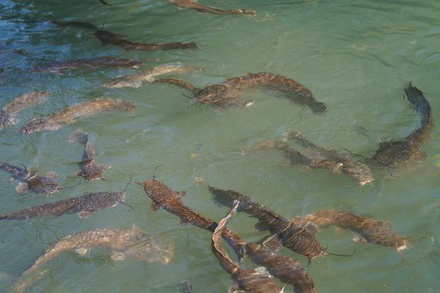 Хрещення Господнє: як виглядає річка Йордан, у якій хрестили Ісуса - фото 380596