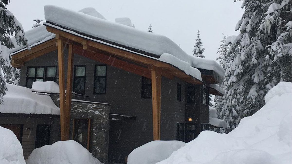 У Канаді випав рекордний рівень снігу: вражаючі кадри - фото 1