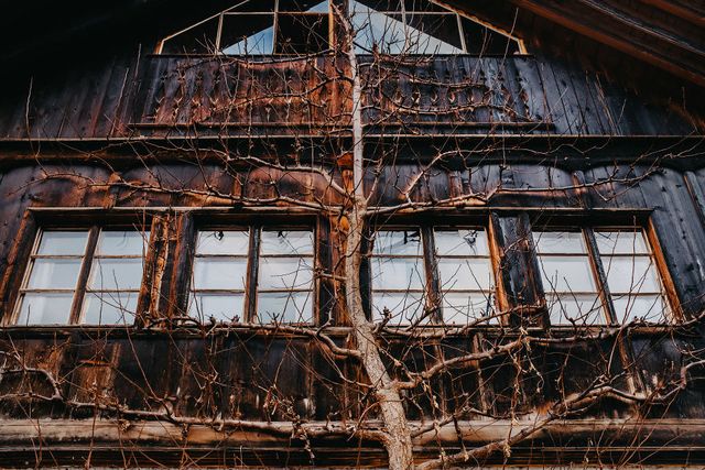 Фотограф показав неймовірне давнє місто в Австрії: захопливі кадри - фото 380793