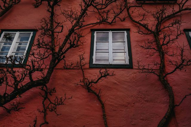 Фотограф показав неймовірне давнє місто в Австрії: захопливі кадри - фото 380794