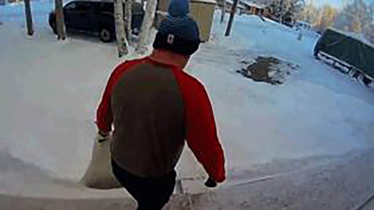 Канада - фото 1