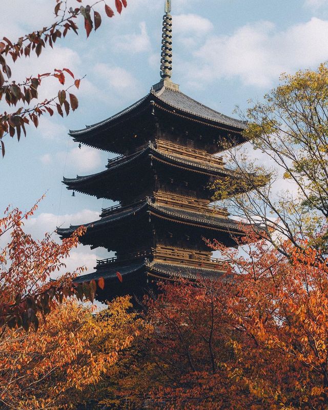 Життя в Японії на вуличних фото: захопливі кадри - фото 381094