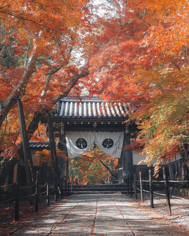 Життя в Японії на вуличних фото: захопливі кадри - фото 381100