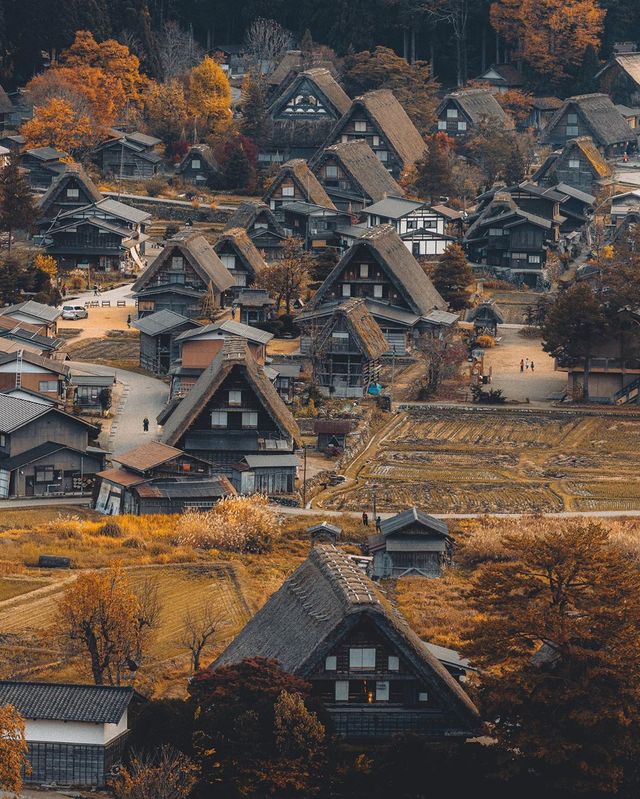 Життя в Японії на вуличних фото: захопливі кадри - фото 381106