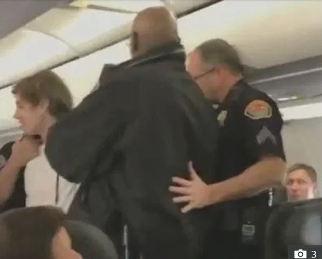 Літак екстрено сів через бортпровідника без штанів - фото 381135