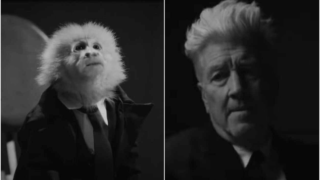 Девід Лінч випустив фільм із собою і мавпою: відео