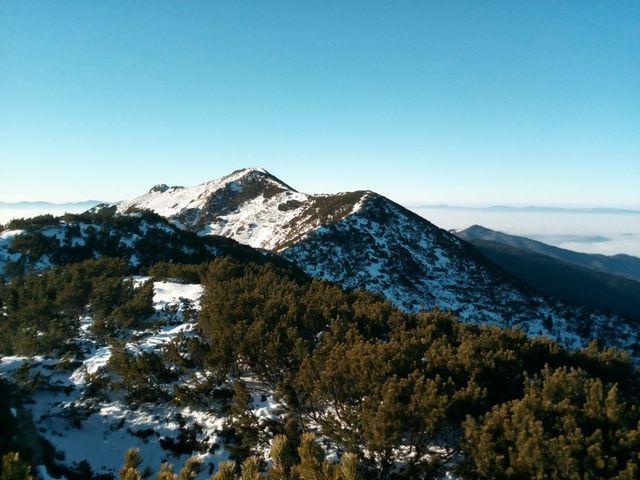Карпати рясно засипало снігом: зимові фото - фото 381159