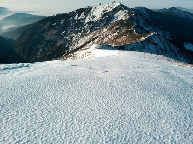 Карпати рясно засипало снігом: зимові фото - фото 381164