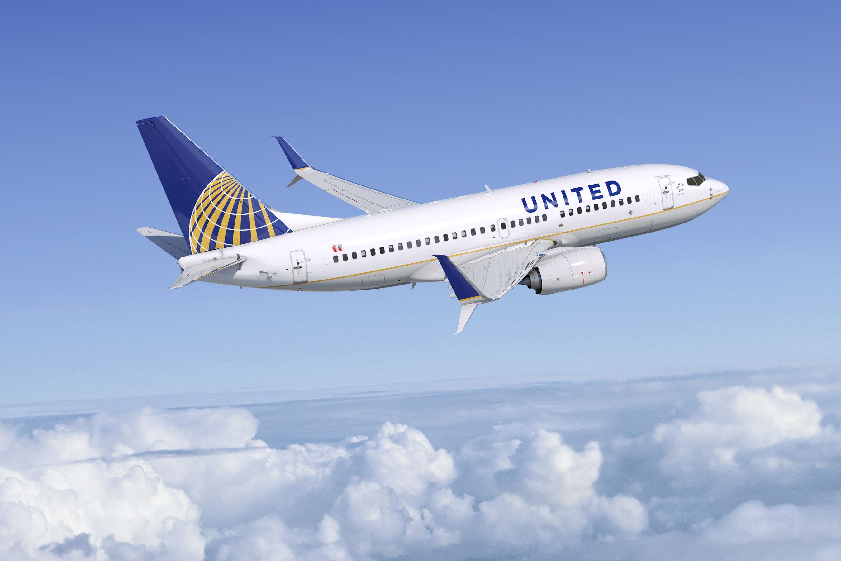 У бізнес-класі United Airlines з'явився несподіваний пасажир - фото 1