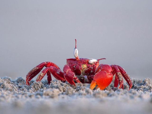 10 фото, які змусять вас усміхнутися - фото 381265