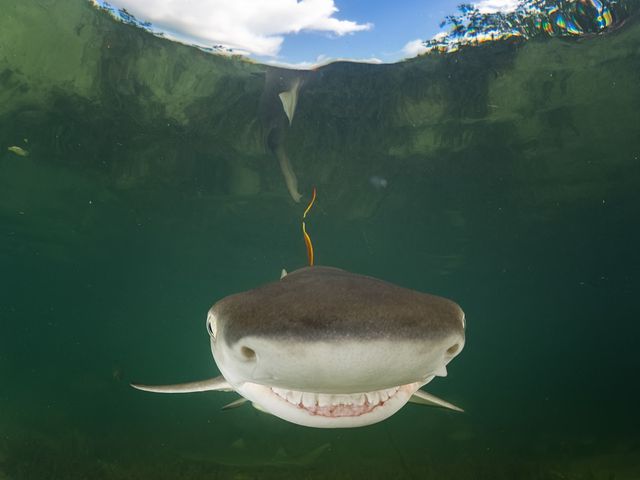 10 фото, які змусять вас усміхнутися - фото 381266