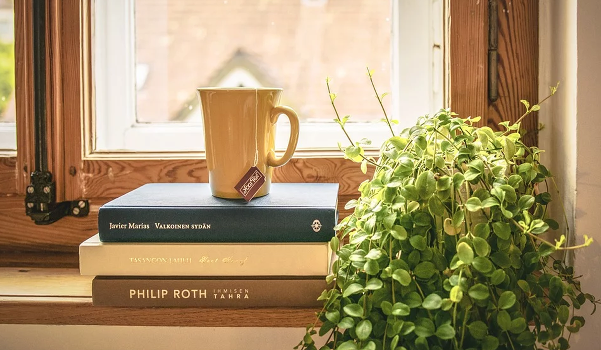 Максимум творчості: 5 книжок, написаних музикантами та художниками