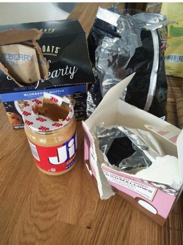 І смішно, і реально: епічні фото зі спільного життя, які дратують кожного - фото 381859