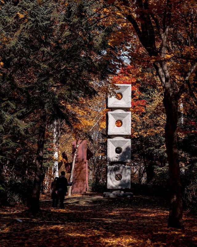 Вуличні фото Японії, які змушують затримати погляд - фото 382504