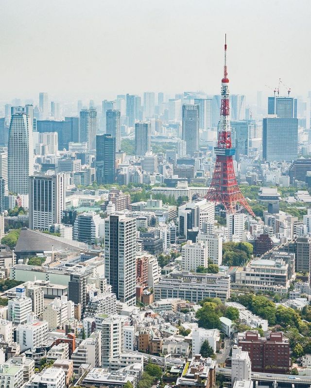 Вуличні фото Японії, які змушують затримати погляд - фото 382505