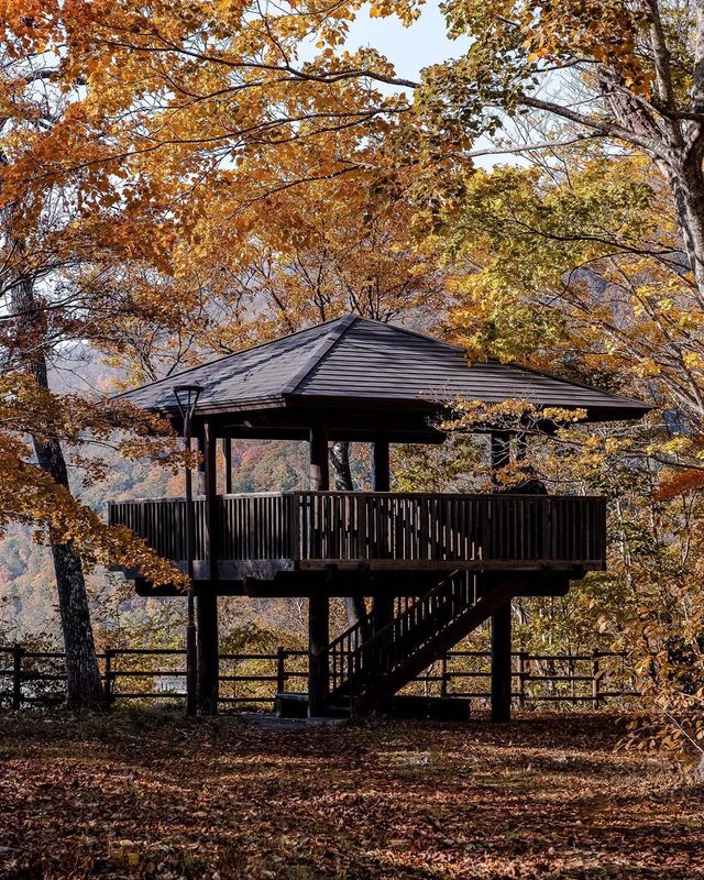 Вуличні фото Японії, які змушують затримати погляд - фото 382510