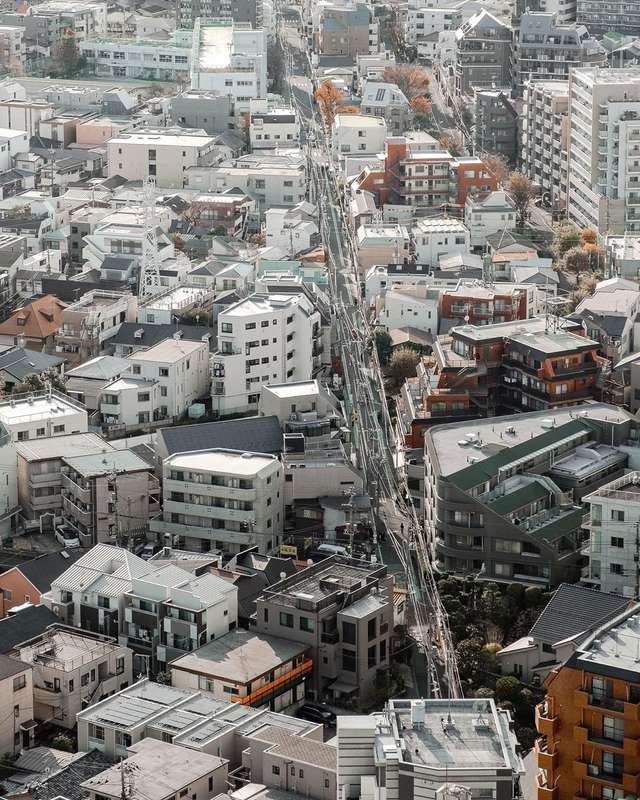 Вуличні фото Японії, які змушують затримати погляд - фото 382513