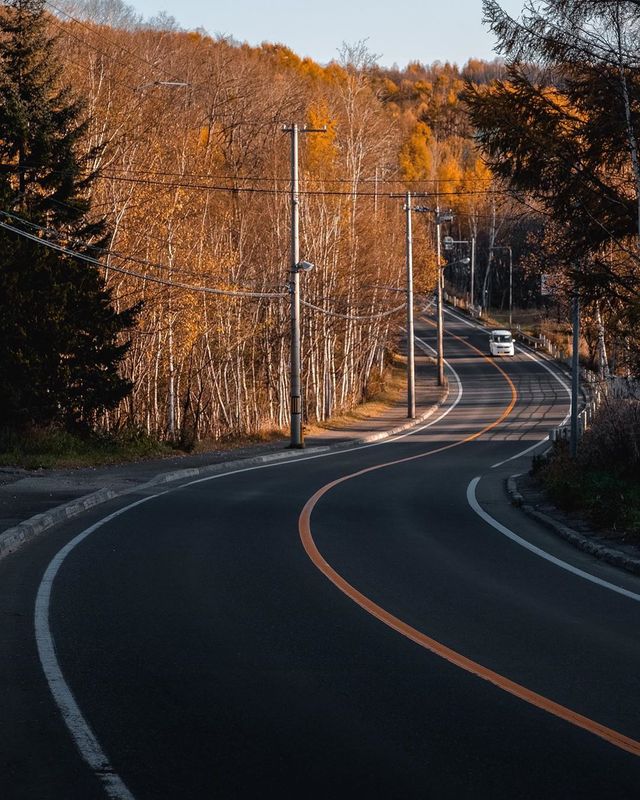 Вуличні фото Японії, які змушують затримати погляд - фото 382517