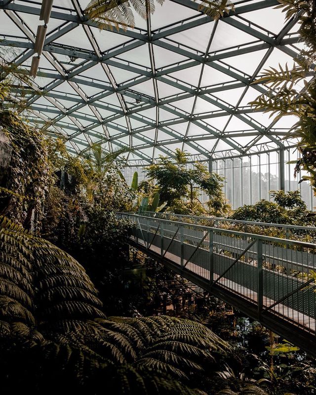 Вуличні фото Японії, які змушують затримати погляд - фото 382522