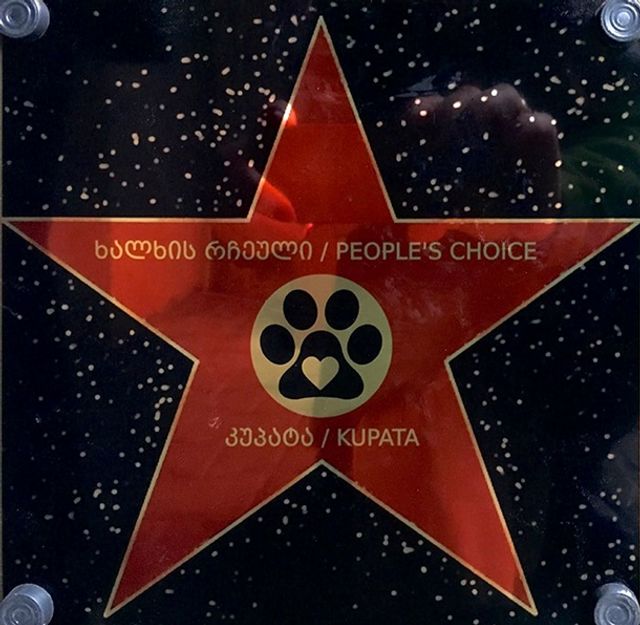 Сміливий пес перевів дітей через дорогу, відлякуючи водіїв: відео - фото 382632